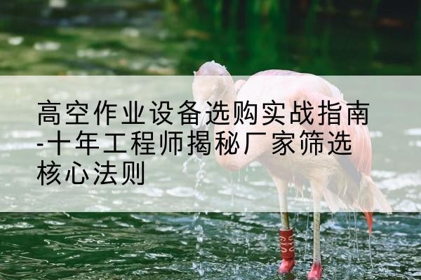 兴仁剪叉式升降机厂家-高空作业设备选购实战指南-十年工程师揭秘厂家筛选核心法则