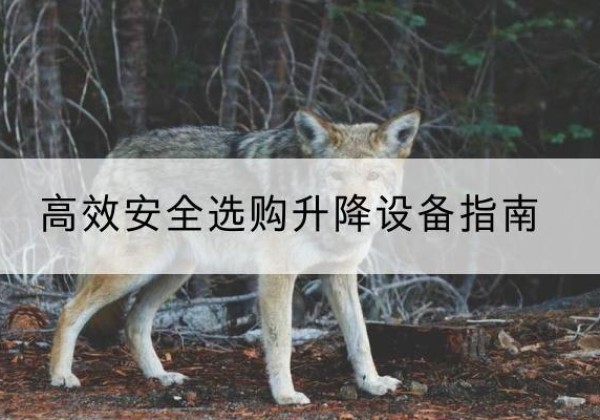 兴仁升降货梯厂家推荐-*安全选购升降设备指南