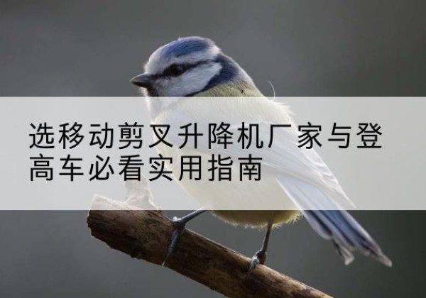兴仁电动升降机厂家-选移动剪叉升降机厂家与登高车必看实用指南