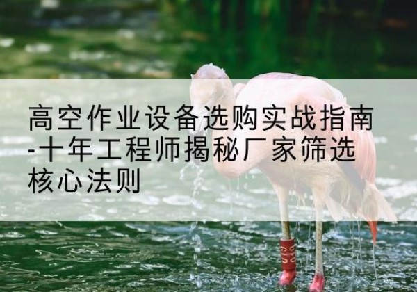兴仁剪叉式升降机厂家-高空作业设备选购实战指南-十年工程师揭秘厂家筛选核心法则